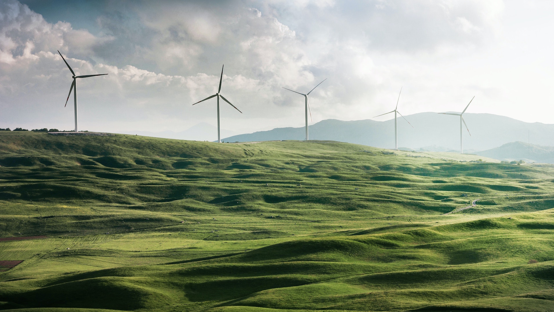 Wind Farms showing Sustainability to be one of the fastest growing careers